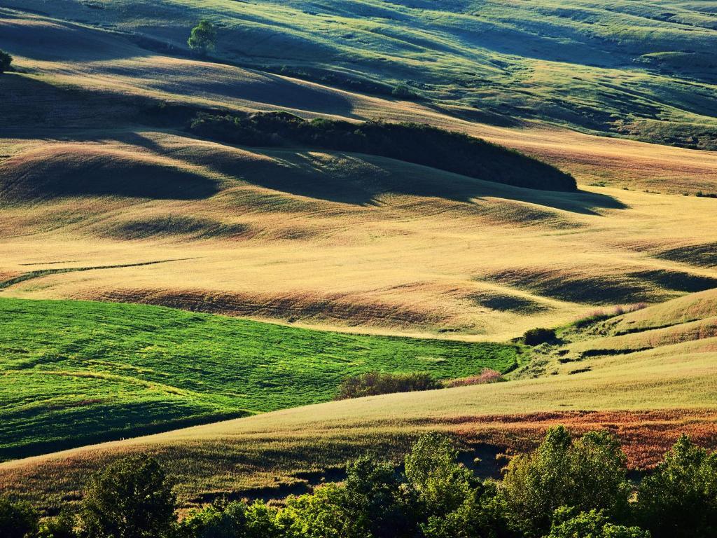 Agriturismo La Buca Di Bellugi サン・クイーリコ・ドルチャ エクステリア 写真