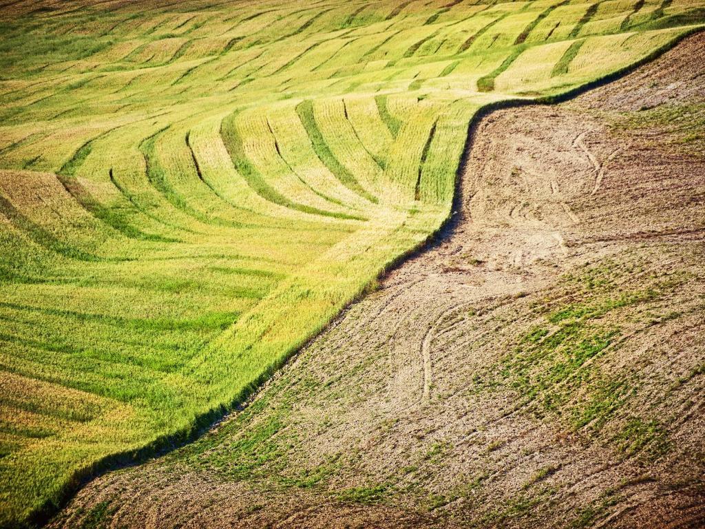 Agriturismo La Buca Di Bellugi サン・クイーリコ・ドルチャ エクステリア 写真