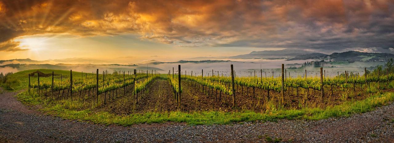Agriturismo La Buca Di Bellugi サン・クイーリコ・ドルチャ エクステリア 写真
