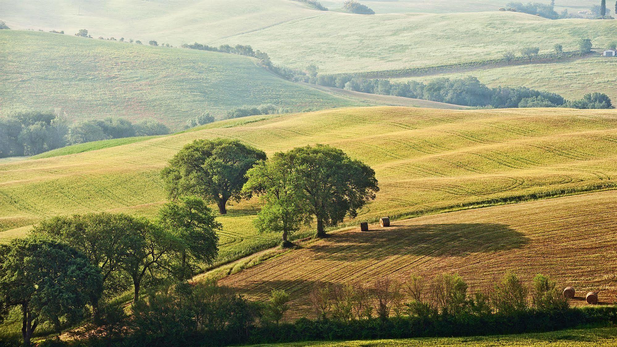 Agriturismo La Buca Di Bellugi サン・クイーリコ・ドルチャ エクステリア 写真
