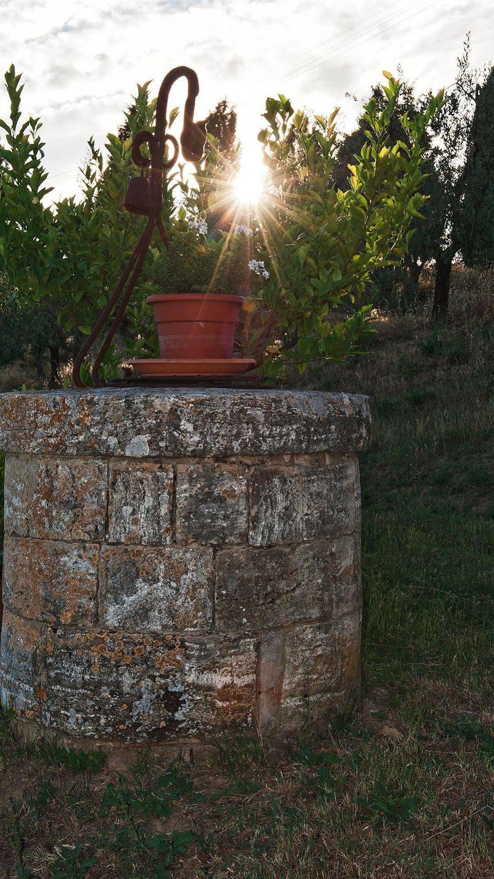 Agriturismo La Buca Di Bellugi サン・クイーリコ・ドルチャ エクステリア 写真